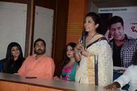 Oka Villain Prema Katha Press Meet